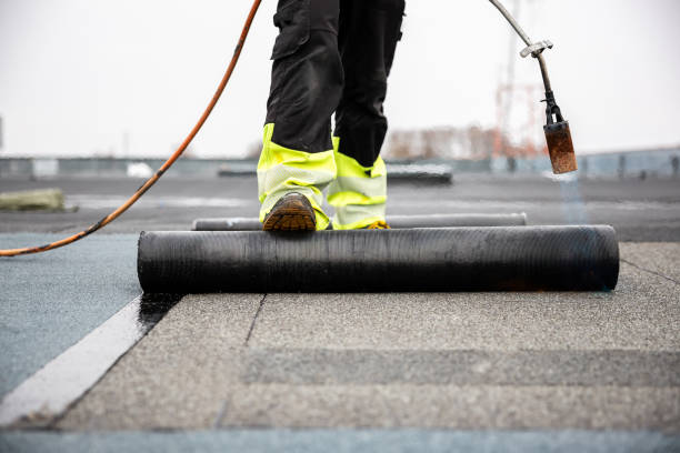 Best Roof Moss and Algae Removal  in East Hemet, CA